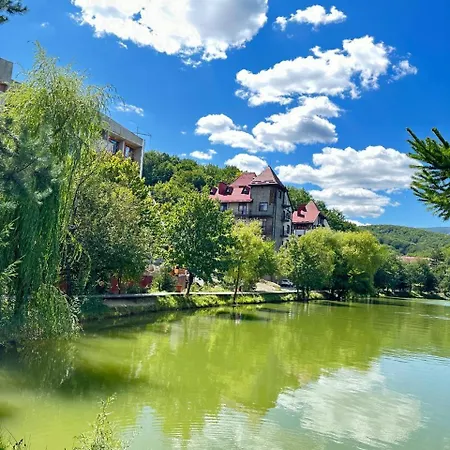 Monte Apartment Polyana (Transcarpathia)