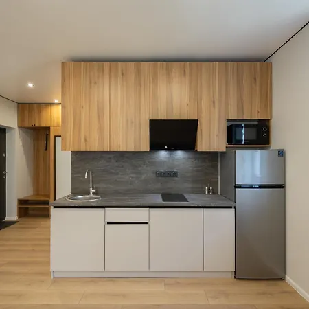 Apartment Monte Polyana (Transcarpathia)