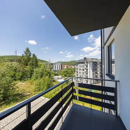 Monte Apartment Polyana (Transcarpathia)