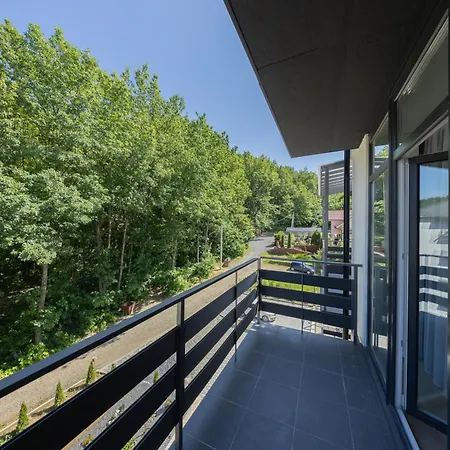 Monte Apartment Polyana (Transcarpathia)