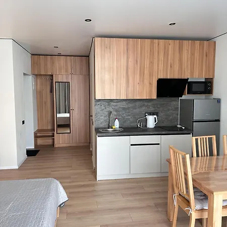Apartment Monte Polyana (Transcarpathia)