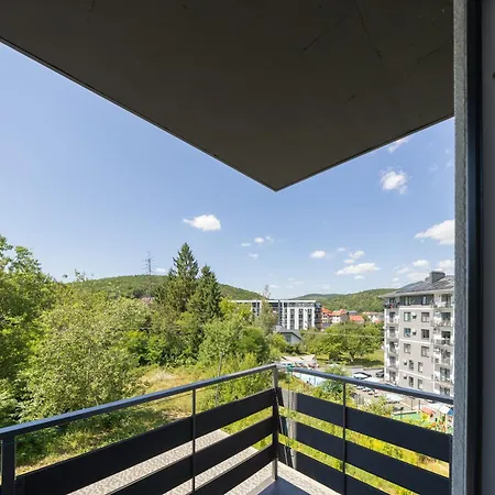 Apartment Monte Polyana (Transcarpathia)