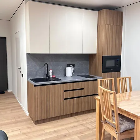 Monte Apartment Polyana (Transcarpathia)