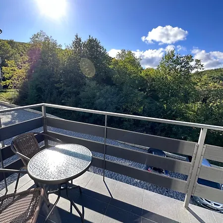 Apartment Monte Polyana (Transcarpathia)